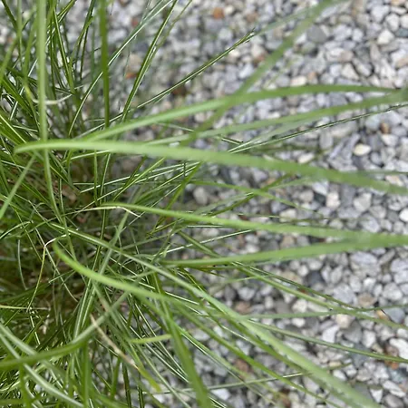 Mount Everest Apartament Sölden