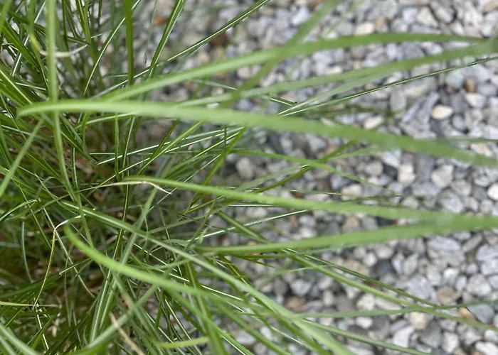 Mount Everest Διαμέρισμα Ζόλντεν