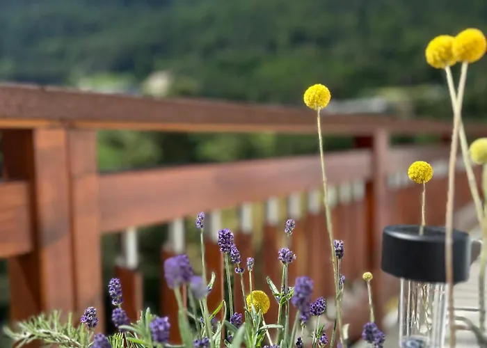 Mount Everest Apartman *